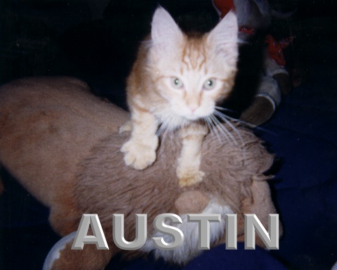 austin.jpeg